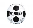 ��� ���������� Winner Mid Training